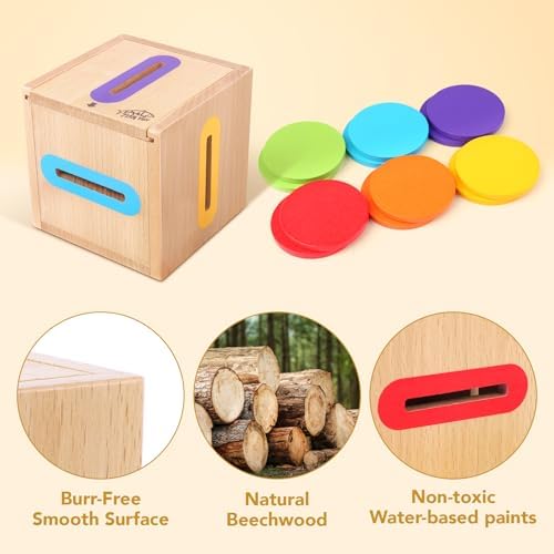 Montessori Toys for Toddlers 1-3 Color Sorting Wooden Object Permanence Box - Image 5