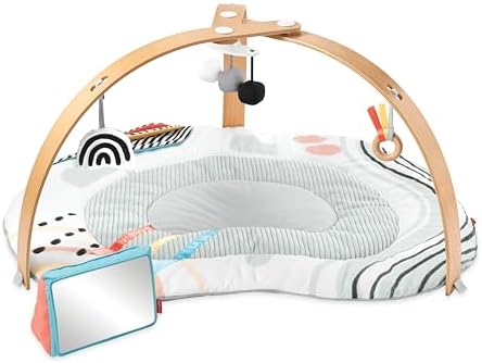 Skip Hop Baby Play Gym Montessori-Inspired 3-in-1 Sensory Tummy Time Activity Mat with 25+ Developmental Activities 4 Toys and 5 Parent Guide Cards with Stage-Based Activities Discoverosity Age 0-2y by Unknown