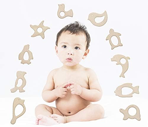 Penta Angel 10Pcs Wood Teething Rings Pain Relief Natural Wood Teething Toys Wooden Teether Animals for Infant Toddler, Turtles Swallows Dolphins Starfish Pigeons Birds Woodpeckers Fish Turtle - Image 6