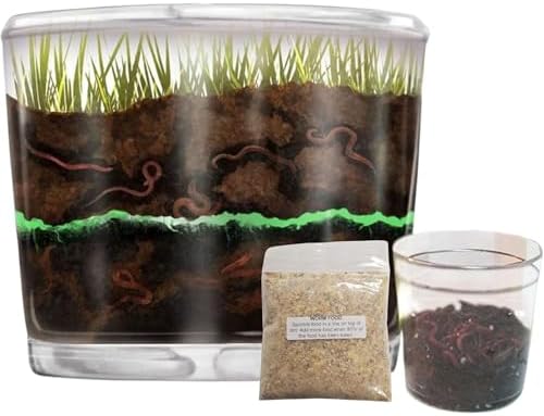 Worm Farm for Kids with 20 Live Worms and Food, All-in-One Ecosystem Bundle by NatureGiftStore