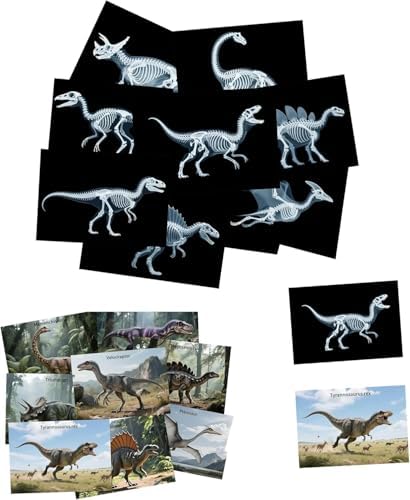 16 Animal X-Ray Set, Educational Science Kit for Kids to Explore Bone Structures for Lightstand Accessories, Light and Shadow Areas (Dinosaur Series) by Unknown