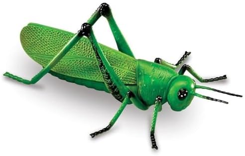 Learning Resources Jumbo Insects - Image 4