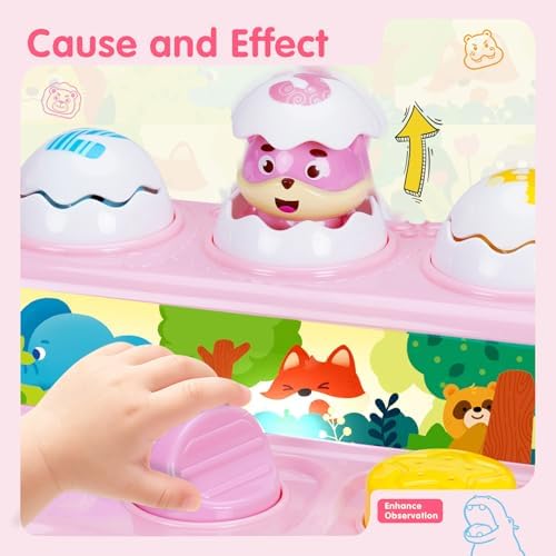 FS Pop Up Toy for 1 Year Old Girls, Cause and Effect Toy - Image 3