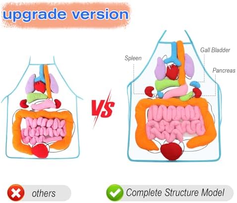 KAKIBLIN 3D Organ Apron,(Upgrade Version) Anatomy Apron Human Body Organs Awareness Educational Toy for Home Preschool Teaching Aid, Transparent - Image 4