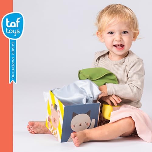 Taf Toys Multi-Sensory Montessori Baby Toy Infant Toys 6-12 Months 16pcs Pieces Baby Tissue Box Toy, Shape Sorter, Play Balls Learning Toys Toddlers 1-3 Motor Skills Development Toddler Activity Cube - Image 3