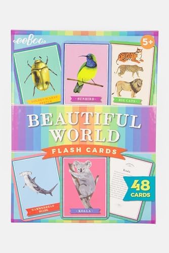 eeBoo: Beautiful World Educational Flashcards, 48 Cards Showcasing Various Animals, Learn About Mammals, Insects, Birds & Reptiles. Perfect for Ages 5 and up by eeBoo