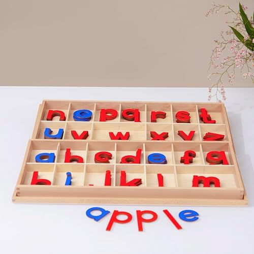 Premium Large Wooden Movable Alphabet Set 22.4in 5.2 lbs,155 Lowercase Letters in Dual Beechwood Boxes | Montessori Red & Blue Letters for Word Building & Writing,Wood Large Movable Alphabet - Image 4