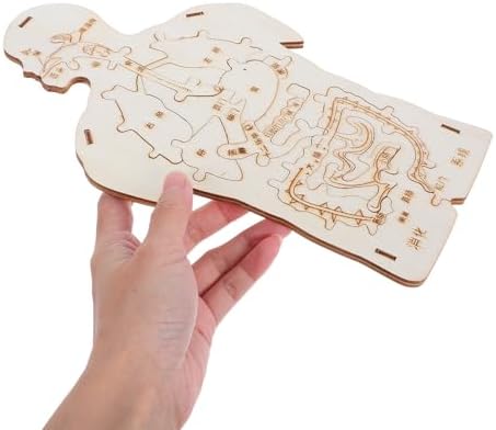 3pcs Human Body Model Wooden Puzzle, Science Kit for Cognitive Education and Collaborative Learning, Beige Color, for Family Playtime and Home Use - Image 4