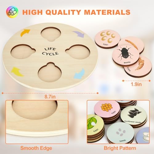 Life Cycle Toys for Kids Educational Science Kits, Montessori Toys for 3 4 5 6+ Years Old, Preschool Science Learning Easter Valentines Toys Gift for Toddler Boys & Girls - Image 3