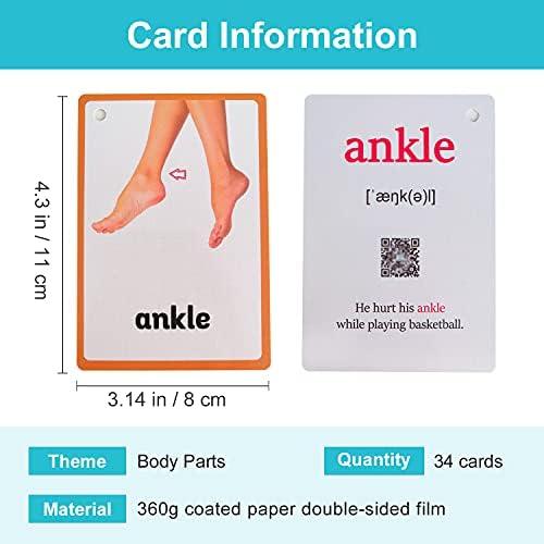 Lilias Body Parts Flash Cards, Toddler & Preschool Learning Toys, Kindergarten Learning Supplies, 4.3 x 3.14 Inch, 34 Cards - Image 2