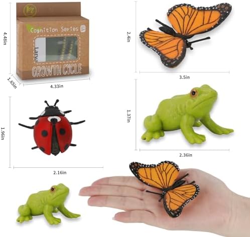 Montessori Life Cycle Learning & Education Toys - Plastic Insect Ladybug, Monarch Butterfly, and Tadpole-to-Frog Kit for Kids, Learning Activities for Early Education - Image 6