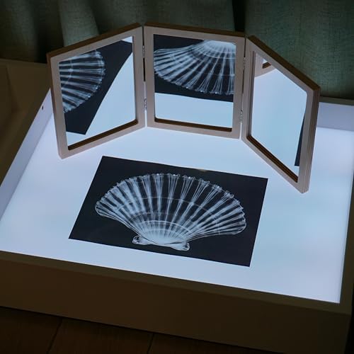 Animal X-Ray Set, Educational Science Kit, Light Table Accessory for Children (Insects) - Image 2
