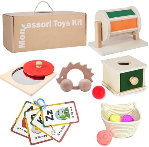 Montessori Educational Toys for Babies 7-12 Months, 7 in 1 Early Learning Educational Kit for Toddlers Gifts, Includes Spinning Drum, Permanent Box, Red Mirror Knob Puzzle, Hedgehog Rattle and More by Starrykids