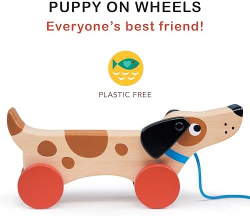 Mentari Toys - Puppy on Wheels - Wooden Dog Pull Toy for Toddler Walking for 18M+ Boys and Girls - Sustainable Rubberwood - Educational Motor Skills & Imaginative Play - Gift for Preschoolers - Image 2