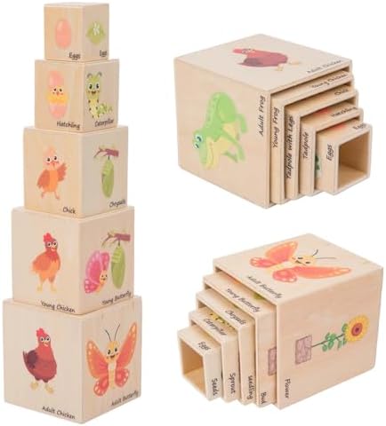 Adena Montessori 5-Piece Life Cycle Toy Set, 3-6y by AdenaMontessori
