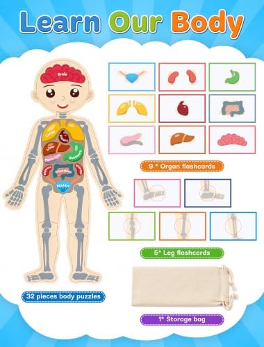 Play School Pretend Teacher Set for Kids Teaching Learning Toy - Image 2