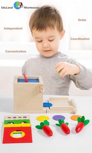 Practical Life Skill Pincer Grasp 5-in-1 Toy Object Permanence STEM Educational Toy Posting Coin Piggy Bank Carrot Harvest Push- Matching/Geometric Solid Box Toddler Gift 3-6 Years - Image 2