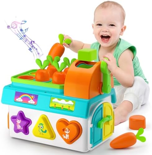 Learning Toys for 1,2 Year Old Girl Boy Gifts, Montessori Shape Sorting Toys for Toddler 1-3 Age, Musical Educational Baby Toy 12-18 Month, Christmas Birthday Gift for 1-2 Year Old Girl Boy by BQU