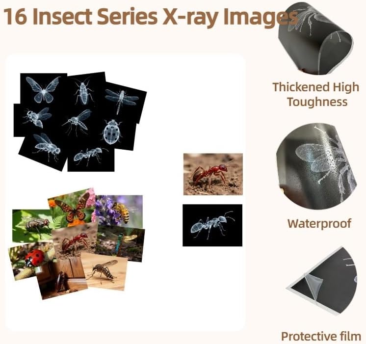 16 Animal X-Ray Set, Educational Science Kit for Kids to Explore Bone Structures for Lightstand Accessories, Light and Shadow Areas (Insect Series) - Image 6