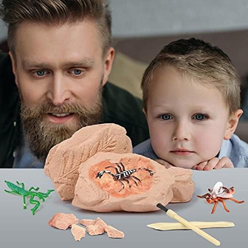 TRADE Big Bug Fossil Dig Kit - STEM Science & Educational Toys -Dig Up 12 Real Bugs Fly Ant Scorpion Lady Beetle Locust Cockroach Bumble Bee Cicada Dragonfly Cricket Praying Mantis Multicolored - Image 6
