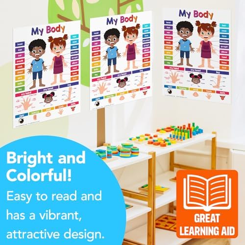 FoldCard My Body Chart Educational Poster 8.5x11 5pk - Image 5