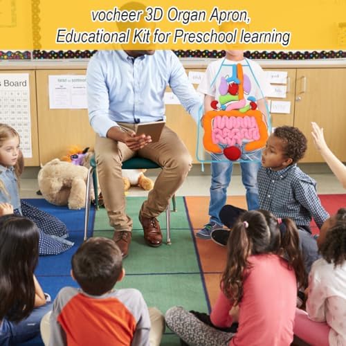 vocheer 3D Organ Apron, Anatomy and Physiology Human Body Model for Kids - Image 3