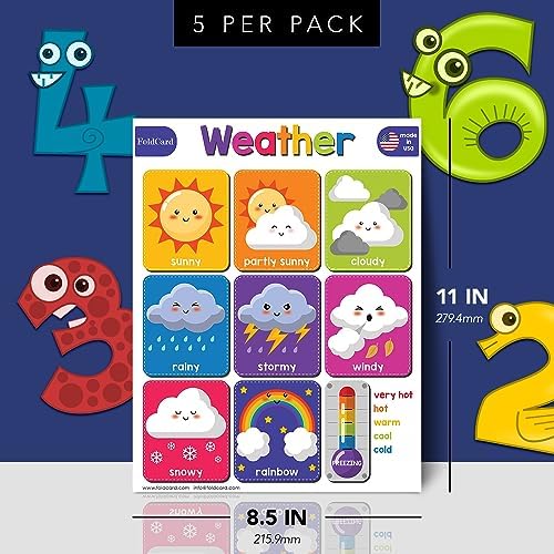 FoldCard Weather Chart Educational Poster 8.5x11 5pk - Image 2