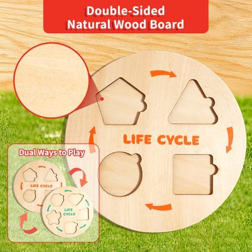 INIFEIDALA Montessori Wooden Preschool Educational Toys for Toddlers 3-6 - Image 5