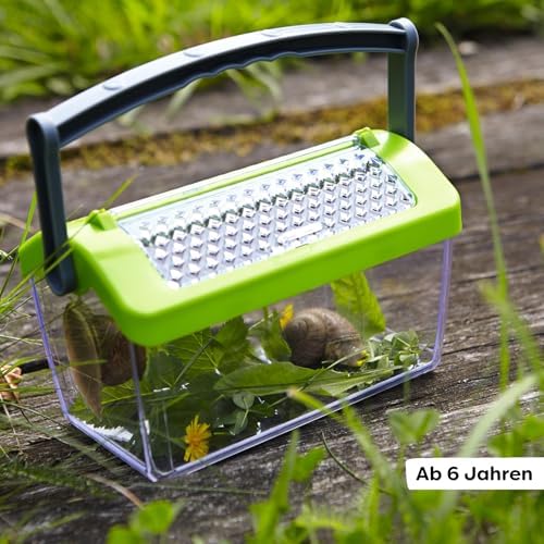 HABA 301513 Insect Box Toy - Image 6