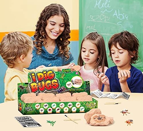 TRADE Big Bug Fossil Dig Kit - STEM Science & Educational Toys -Dig Up 12 Real Bugs Fly Ant Scorpion Lady Beetle Locust Cockroach Bumble Bee Cicada Dragonfly Cricket Praying Mantis Multicolored - Image 5