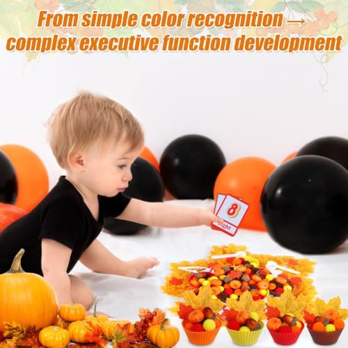 Montessori Toys for Toddlers 3-6 Autumn Fall Sensory Bin Set Items Counting Sorting Toddler Fine Motor Skill Toy Preschool Education Harvest Activities - Image 5