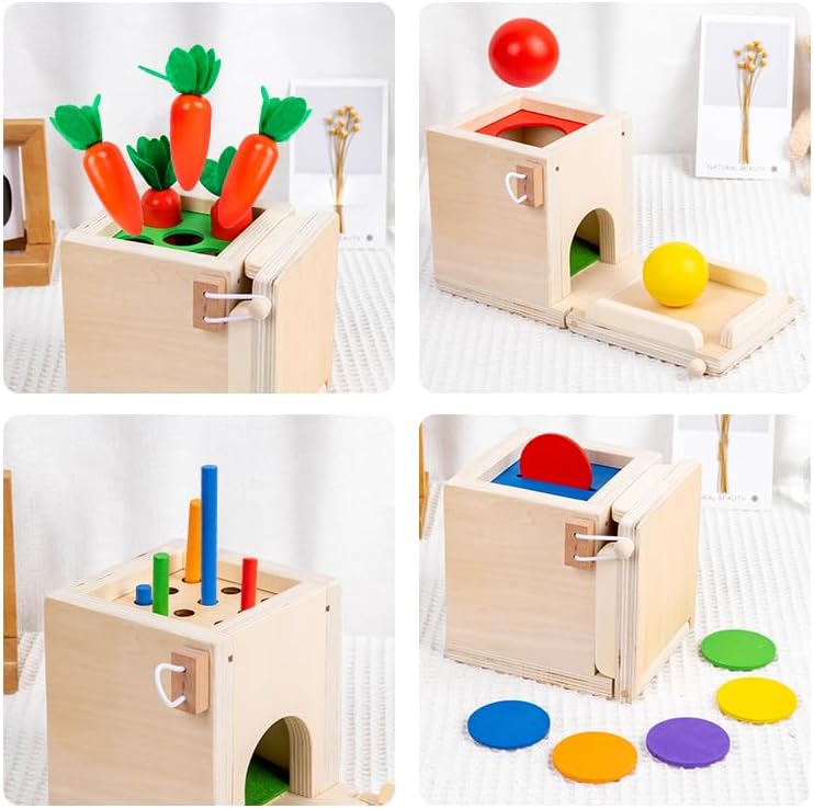 Practical Life Sensory Geometri Wooden Blocks 4-in-1 Toddlers Kit, Object Permanence Posting Coin Box, Carrot Harvest, Color Sticks Push- Matching, Motor Skill for Toddler 3-6 Years - Image 6