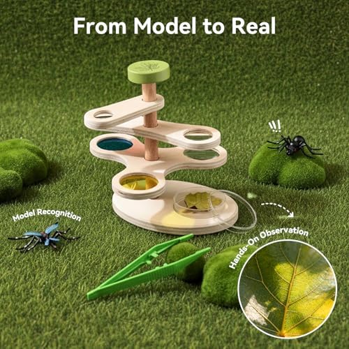Insect Observation Kit for Kids, Multi-Magnification Rotating Viewer with Color Filters, Wooden STEM Nature Exploration Science Toy with Tweezers, Petri Dish and 6 Insect Models, Gift for Ages 4-8 - Image 6