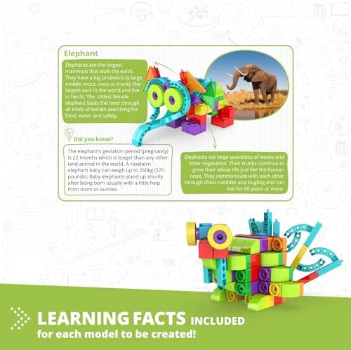 Engino QBOIDZ, Elephant Explorer, Building Blocks Ages 4+, STEM Toys for Boys & Girls, Building Toys, Preschool Educational Set, Montessori (10 Models) - Image 4