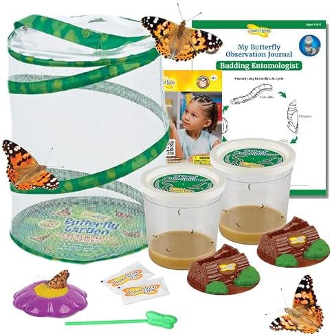 Insect Lore Butterfly Garden with 10 Live Baby Caterpillars - Habitat, Feeder, Chrys-A-Lid Holders, STEM Activity Journal - Raise and Release Painted Lady Butterflies by InsectLore