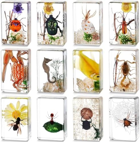 Macarrie 12 Pcs Insect Specimens for Kids Bug Collection Kit, Scenery by Macarrie