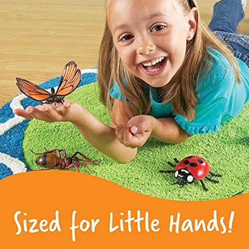 Learning Resources Jumbo Insects - Image 3