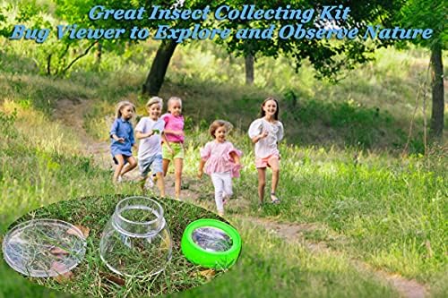 Bug Viewer for Kids 5X Magnifying Insect Observation Kit Built-in 7cm Ruler with 2 Slant Tweezers Bug Viewer Catcher Cage for Kids Science Nature Exploration (2 Pack Green), LX-4LS - Image 5