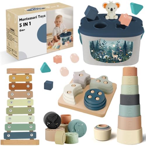 Montessori Toys for 6+ Month Old, Baby Toys for 6-12 Months Boys Girls Gift by FEBALHS