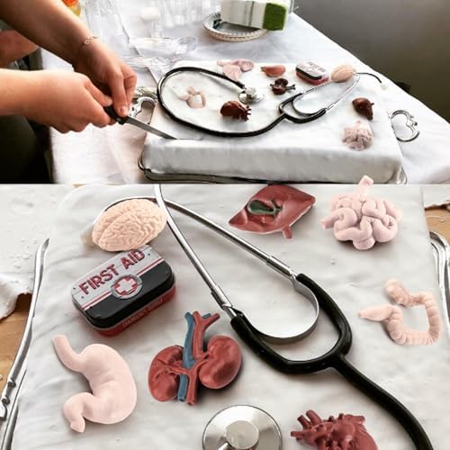 2 Inch 8PCS Human Body Model for Kids Mini Fake Body Parts Sets Human Anatomy Model Anatomy and Physiology Good Tools Students Sciences Learning Kit for Boys Girls Kids - Image 4