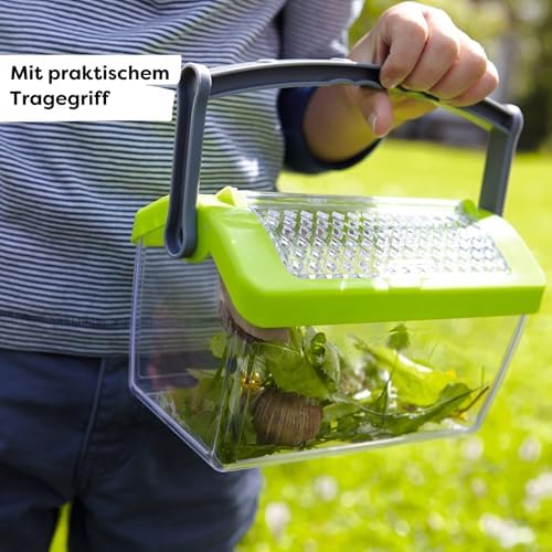 HABA 301513 Insect Box Toy - Image 3