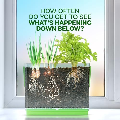 Root Viewer Kit for Kids - Grow Your Own Plant for Boys & Girls Gifts - Image 2