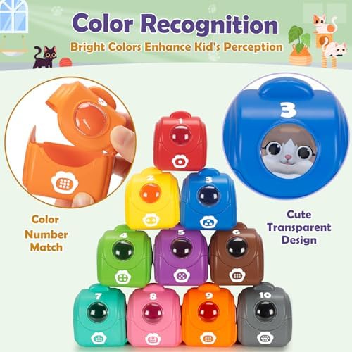 Learning Toys for 1 2 3 Year Old Boys Girls, 20 Pcs Cat Toys for Toddlers 1-3, Kitten Finger Puppet Games, Counting Matching Sorting Motor Educational Playset, Gifts for Baby Toddlers Age 12-18 Months - Image 4