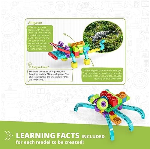 Engino QBOIDZ, Alligator Adventure, Building Blocks for Ages 3+, STEM Kit, Preschool Educational Toys for Kids, Engaging Kids Learning, Montessori Toys for Boys & Girls (5 Models) - Image 3
