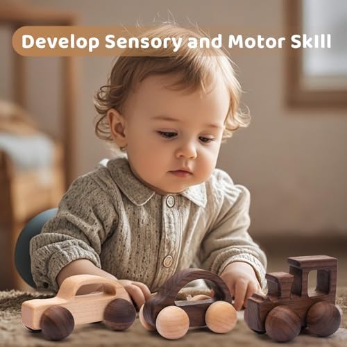 3PCS Wooden Baby Toys, Montessori Toys for Babies 0-6-12 Months, Baby Grasping Toys Push Car Toys for 1 Year Old Boy Birthday Gift,#2 - Image 4
