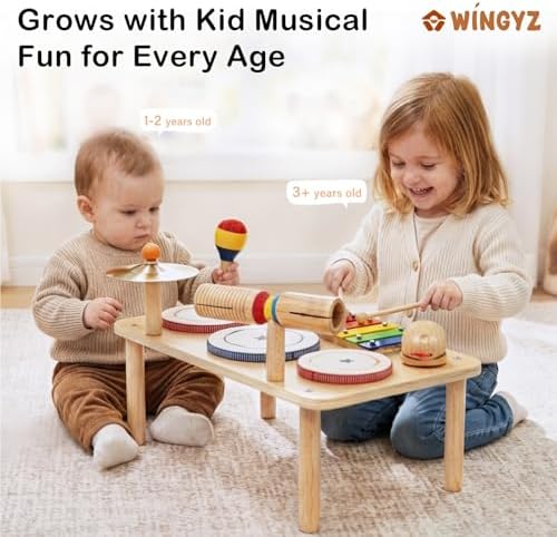 WINYGZ 9-in-1 Baby Drum Set, Low Noise Montessori Musical Instruments. - Image 6