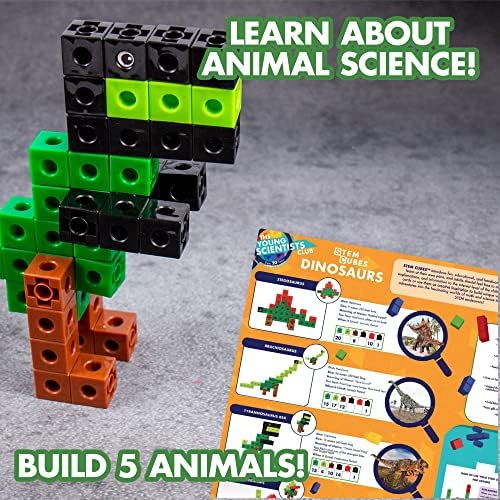 The Young Scientists Club Dinosaur STEM Cubes, Build, Learn & Create with 100+ Math Cubes Manipulatives, 2-in-1 Educational Games, Math Cubes for Kids Ages 4-8, Awesome Learn Through Play Toys Multi - Image 6