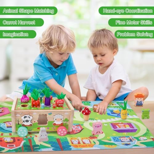 Toddler Montessori Wooden Farm Toys for 1 2 3 Year Old Babies Boys Girls - Image 6