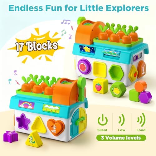 Learning Toys for 1,2 Year Old Girl Boy Gifts, Montessori Shape Sorting Toys for Toddler 1-3 Age, Musical Educational Baby Toy 12-18 Month, Christmas Birthday Gift for 1-2 Year Old Girl Boy - Image 4
