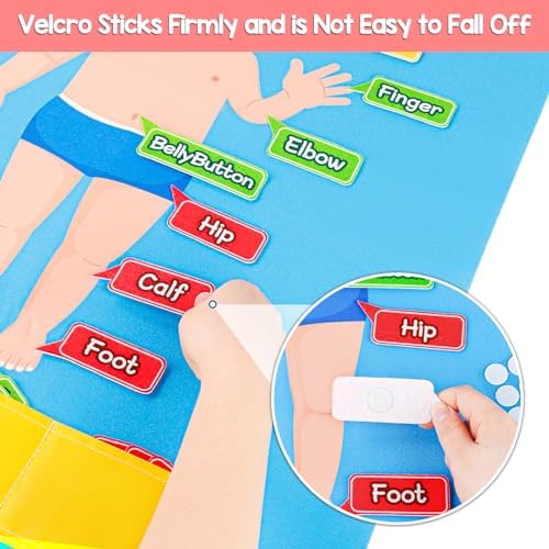AKAYOK 36 Pcs Body Parts for Kids Felt Board for Toddlers Preschool Learning Activities Interactive Human Body for Kids Human Organ Educational Toys for 2 Year Old Felt Wall Activities for Toddlers - Image 6